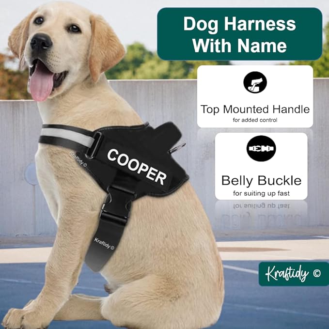 Personalized Dog Harness