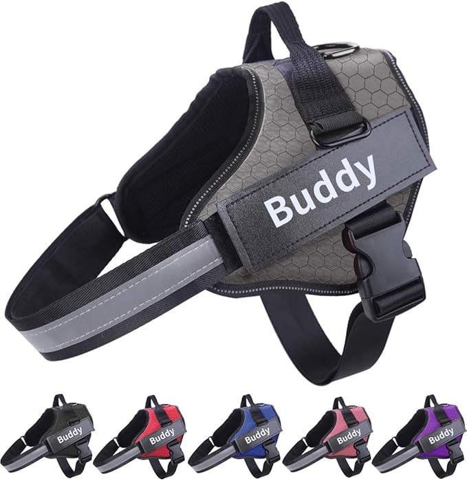 Personalized Dog Harness