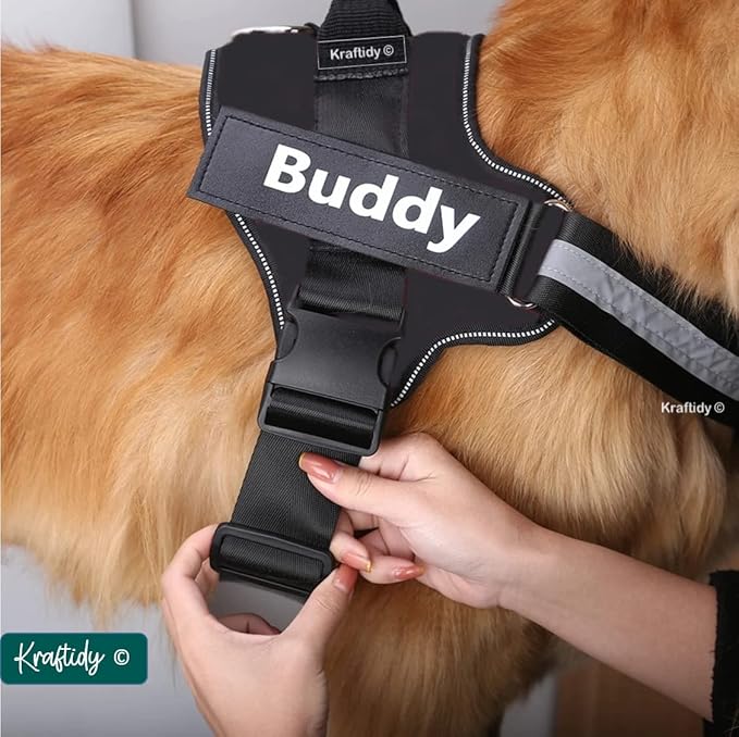 Personalized Dog Harness