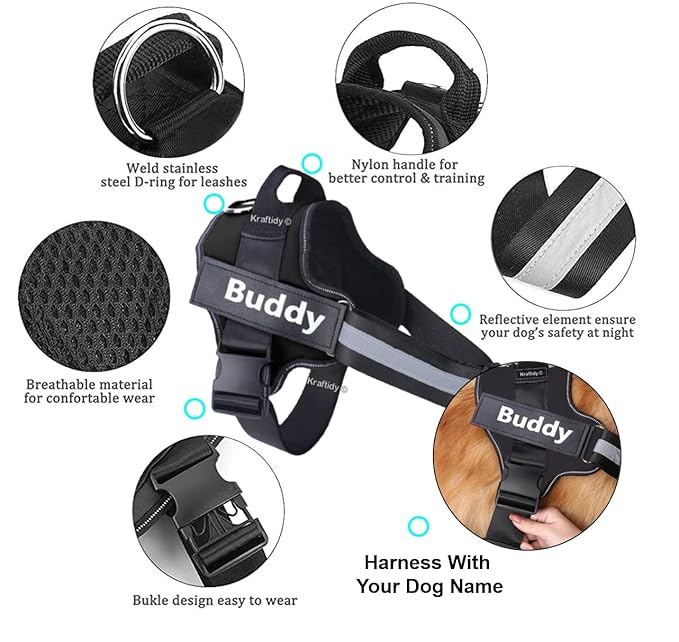 Personalized Dog Harness