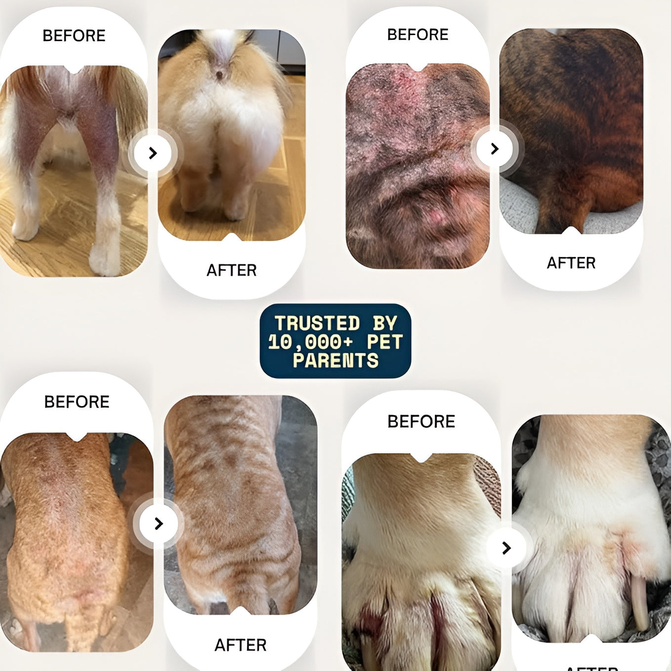 Vet backed skin relief spray