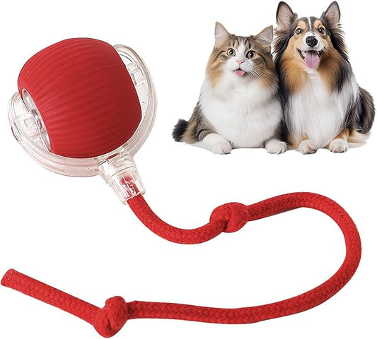 Yopoll interactive toy ball