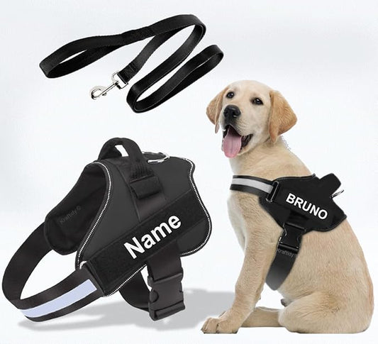 Personalized Dog Harness